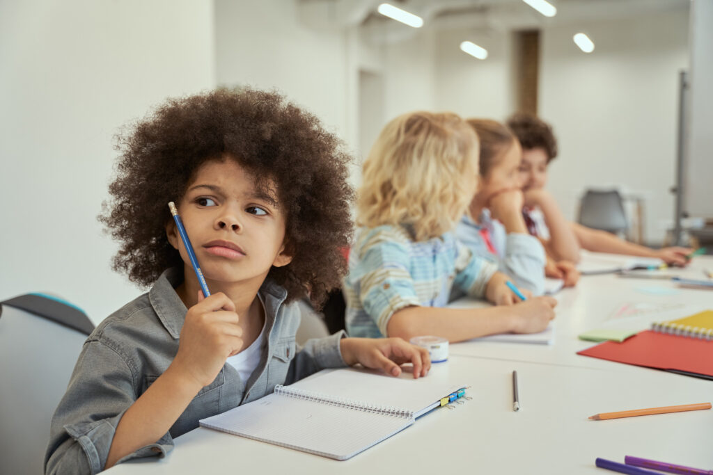 ecossistema de ensino